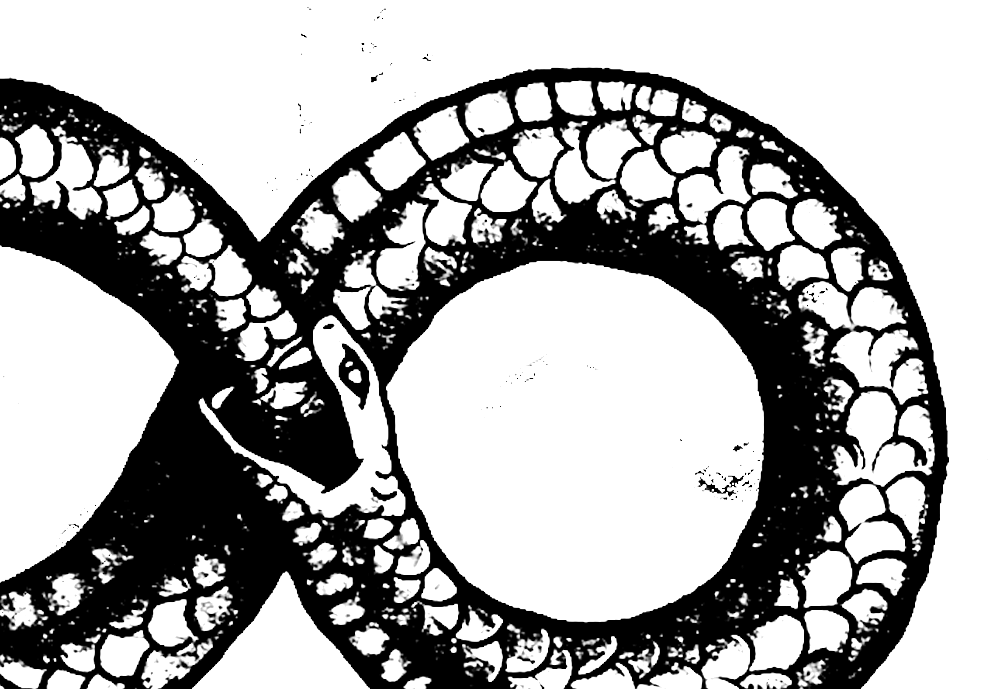 ouroboros transparent png crop